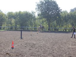 img_0246_web